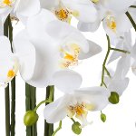 Kunstpflanze Orchidee im weißen Keramikschale