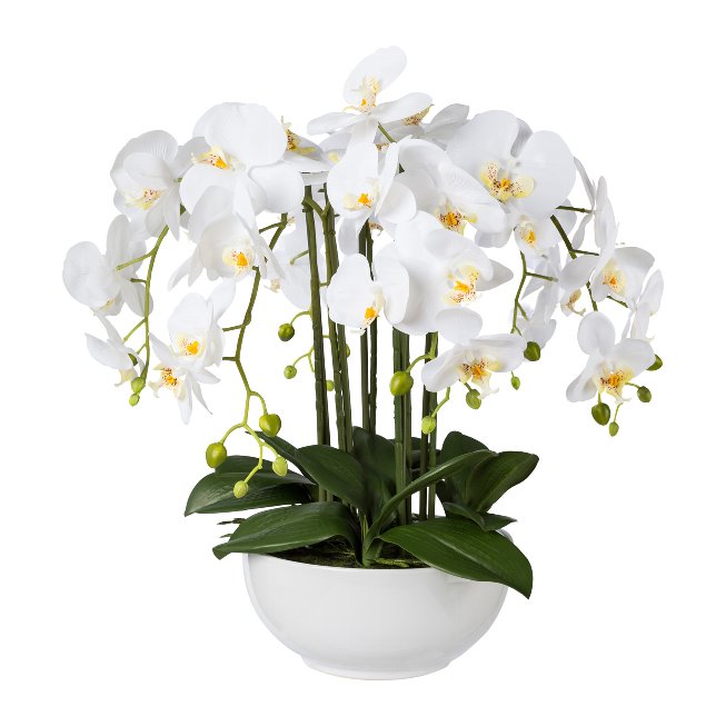 Artificial plant orchid in white ceramic bowl