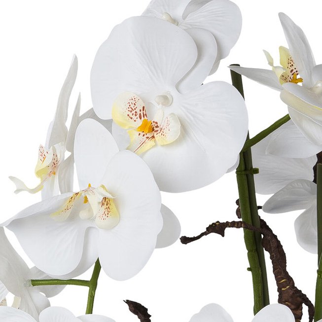 Orchid arrangement 55cm