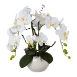 Orchid arrangement 55cm