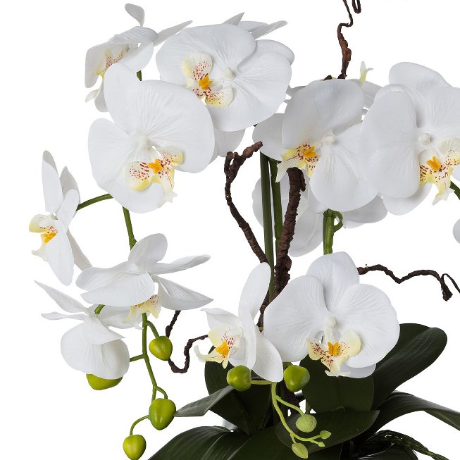 Orchid arrangement in silver pot 55cm