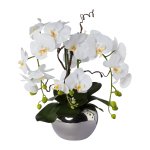 Orchid arrangement in silver pot 55cm
