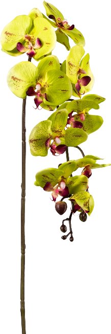 Kunstpflanze Orchidee-Stiel