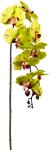 Artificial plant orchid stem