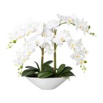 Orchid in ceramic bowl