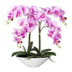 Phalenopsis in ceramic bowl Real touch