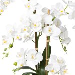 Weiße Orchidee im Keramiktopf 67cm