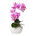 Pink orchid in ceramic pot