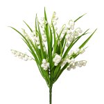 Lily of the valley bush