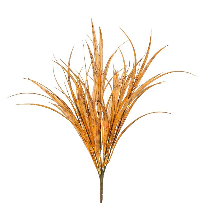 Grass bush