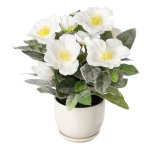 Artificial christmas roses in ceramic pot with snow