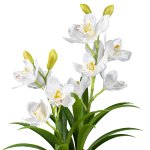 Artificial plant orchid in gray melamine pot