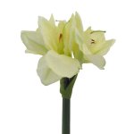 Artificial amaryllis with 3