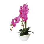 Lila Orchidee in Keramikschale