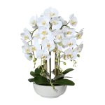 Orchid 66cm in ceramic bowl Ã˜25/10cm