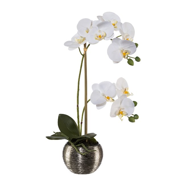 Orchidee im Silbertopf