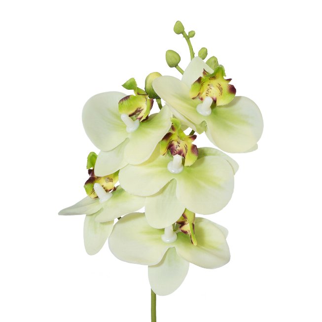 Artificial plant orchid stem