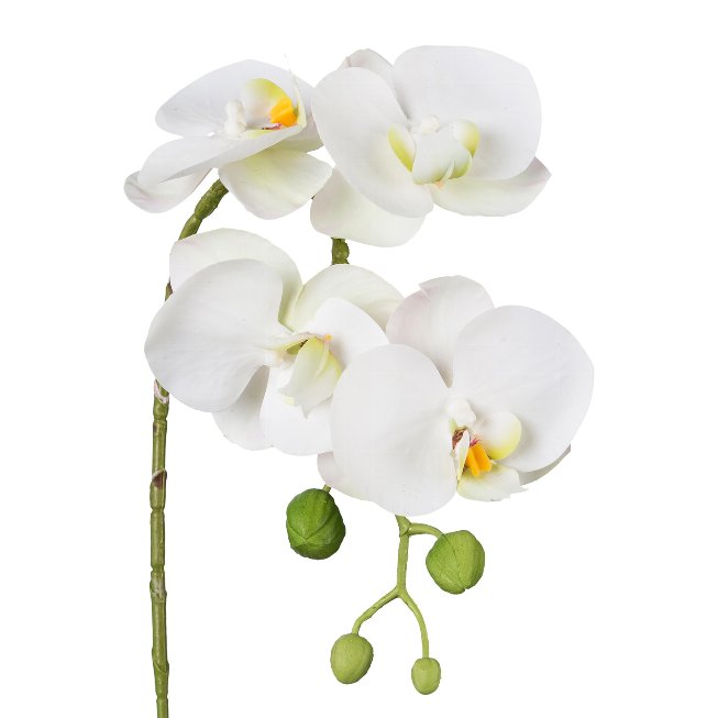 Orchid stem 42cm