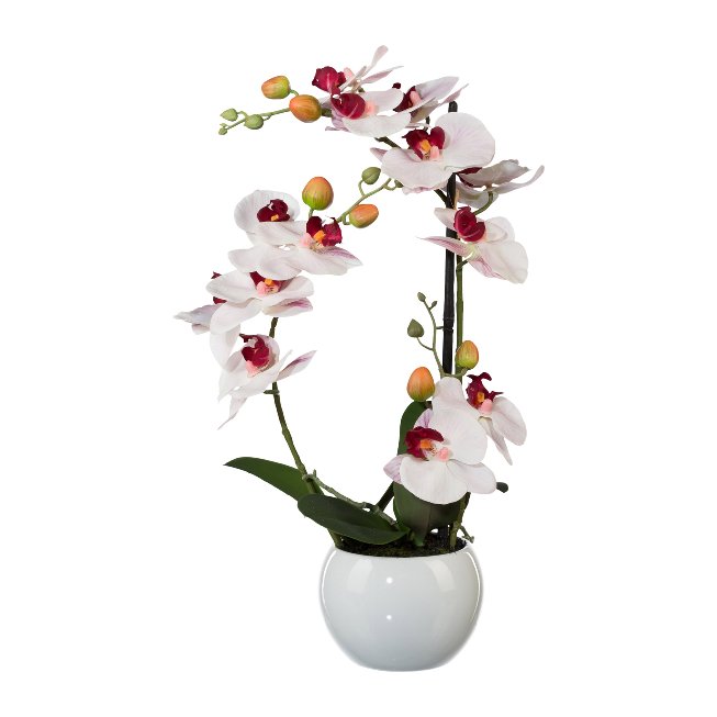 Rosa Orchidee im Keramiktopf 42cm