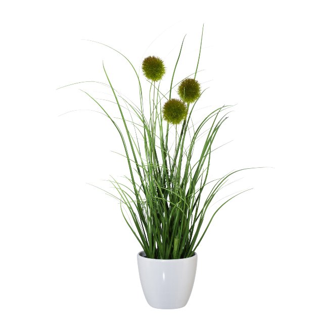 Grasbusch mit Kletten im Topf