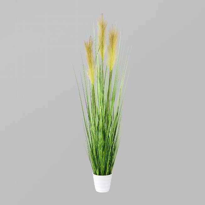 Grass bush in white pot
