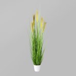 Grass bush in white pot