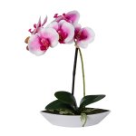 Pink orchid in oval bowl