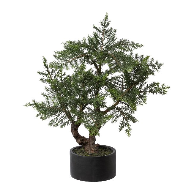 Artificial plant bonsai indoor fir