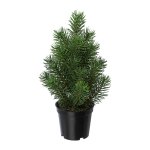 Artificial fir tree in pot