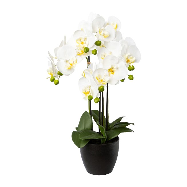 Plastic plant orchid in black resin pot