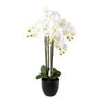 Artificial plant orchid in black resin pot