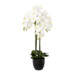 Artificial plants orchid in cement pot