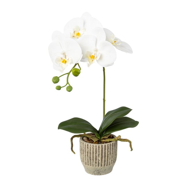 Artificial plant orchid in ceramic pot