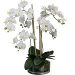 Artificial plant orchid in glass