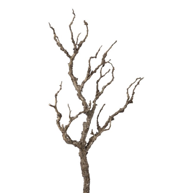 Dekoast, 65cm, natur