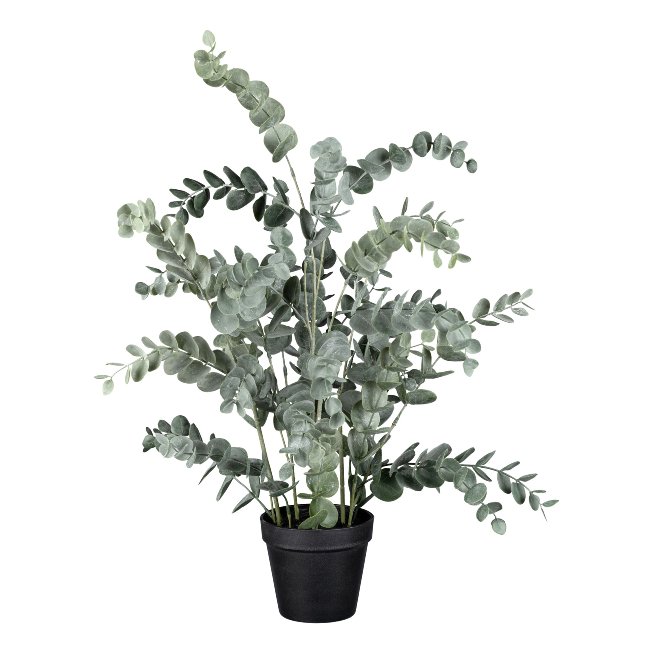 Artificial plant Eucalypthus in plastic pot