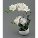 Orchid in ceramic pot 42cm