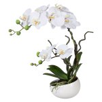 Orchid in ceramic pot 42cm