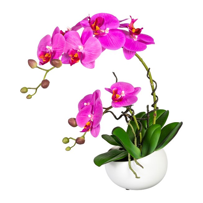 Orchidee in Keramikschale 42cm