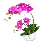 Orchid in ceramic bowl 42cm