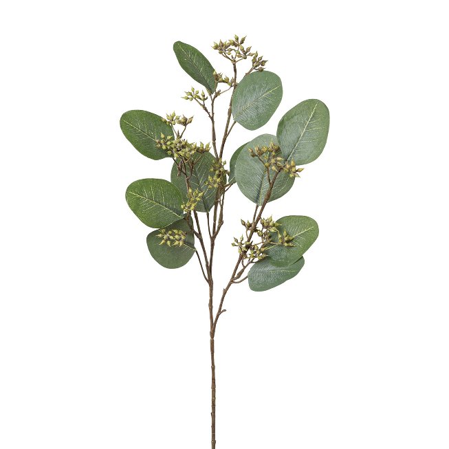Eukalyptuszweig, 52 cm