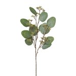 Eucalyptus Branch, 52 cm