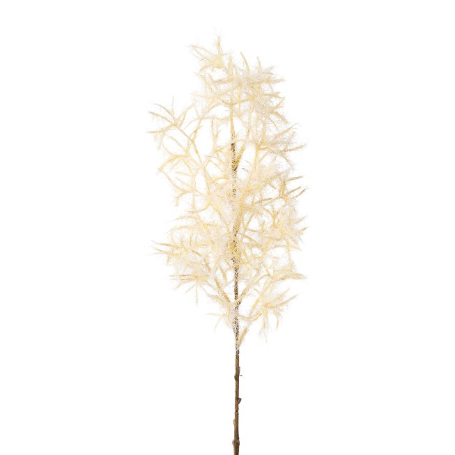 Codinus branch, 46cm, cream,