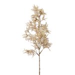 Codinus branch, 46 cm, gray,