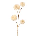 Clematis branch, 68 cm, cream,