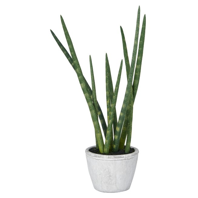 Artificial plant Sanseveria 45cm