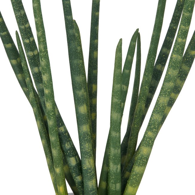 Artificial plant Sanseveria 45cm