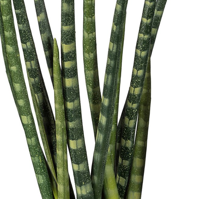 Artificial plant Sanseveria 45cm