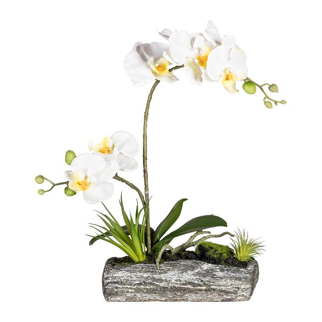 Orchideenarrangement