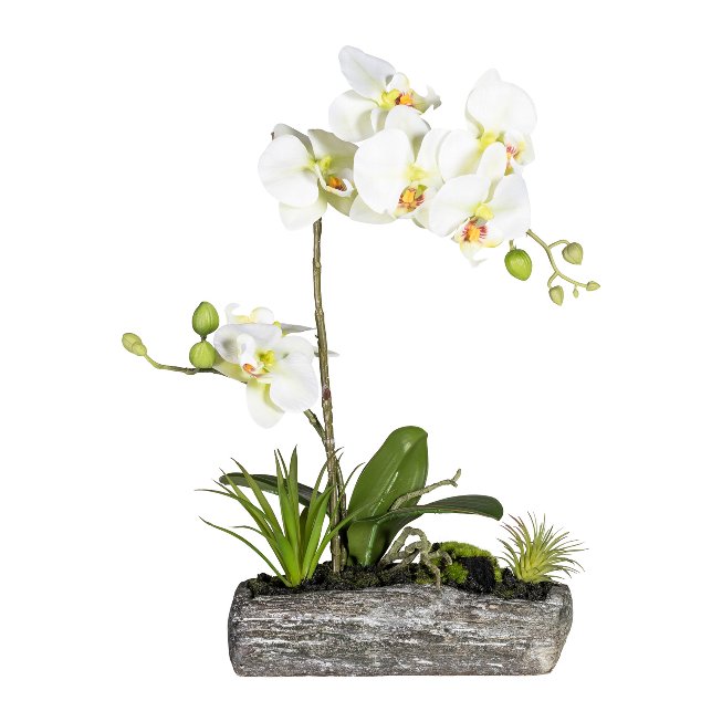 Plastic plant orchid in polyresin bowl